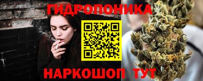 спайс Гагарин