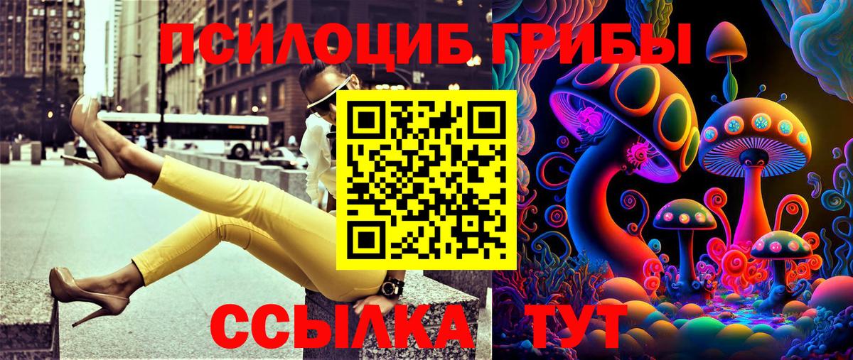Псилоцибиновые грибы Psilocybe  Вход с VPN  дарнет шоп  Губаха  Псилоцибиновые грибы MAGIC MUSHROOMS 